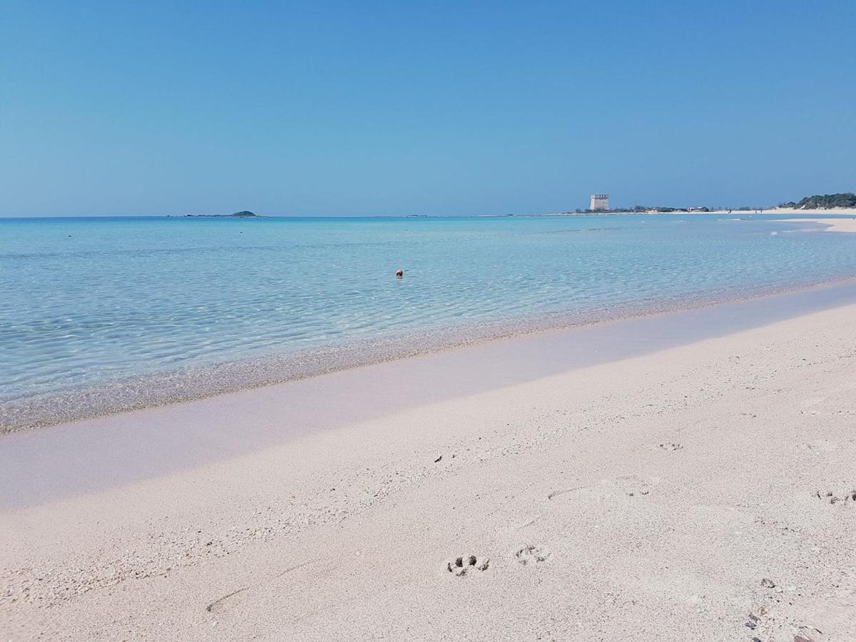 Hotel Posidonia Porto Cesareo Exterior photo